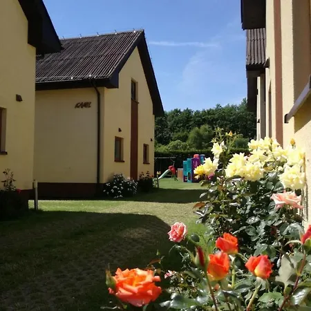 Milagro Baltico * 데브키