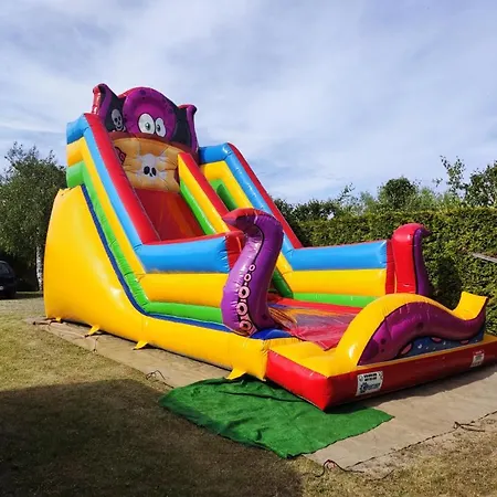 Milagro Baltico 데브키