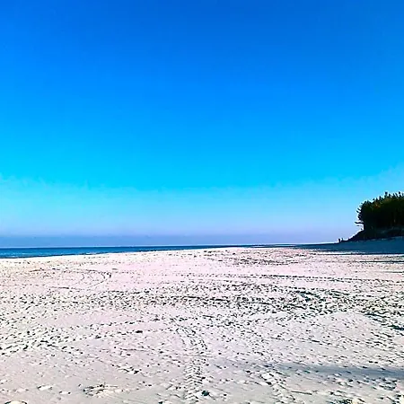 Milagro Baltico * Debki